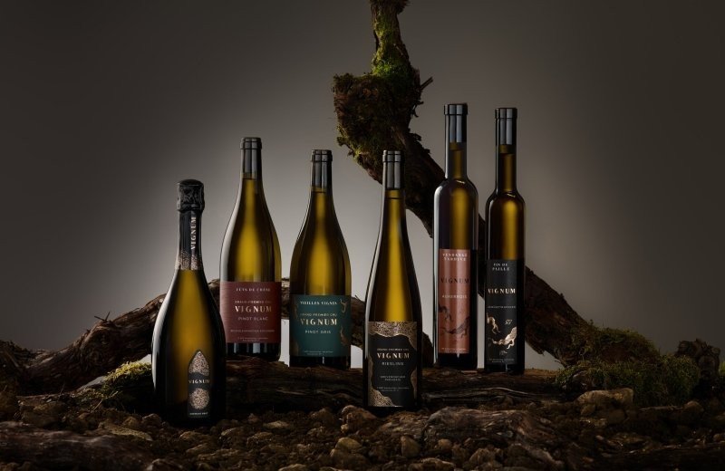 Exklusive Weinverkostung am Campingplatz (2. Edition)